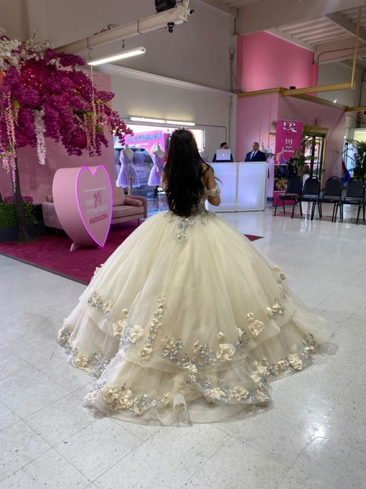 Champagnerfarbenes, schulterfreies Abend- und Ballkleid mit Blumenapplikationen für die Quinceanera, DP3146