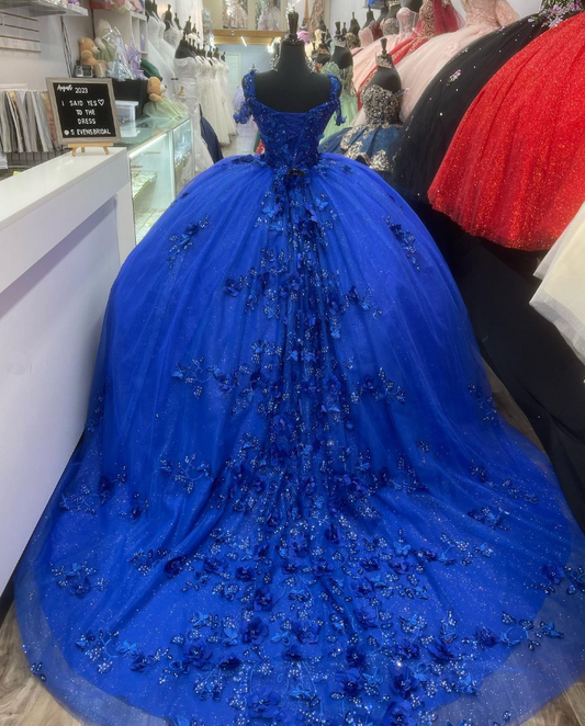 Robe de bal en tulle bleu roi avec appliques, pour 16 ans, DP3351