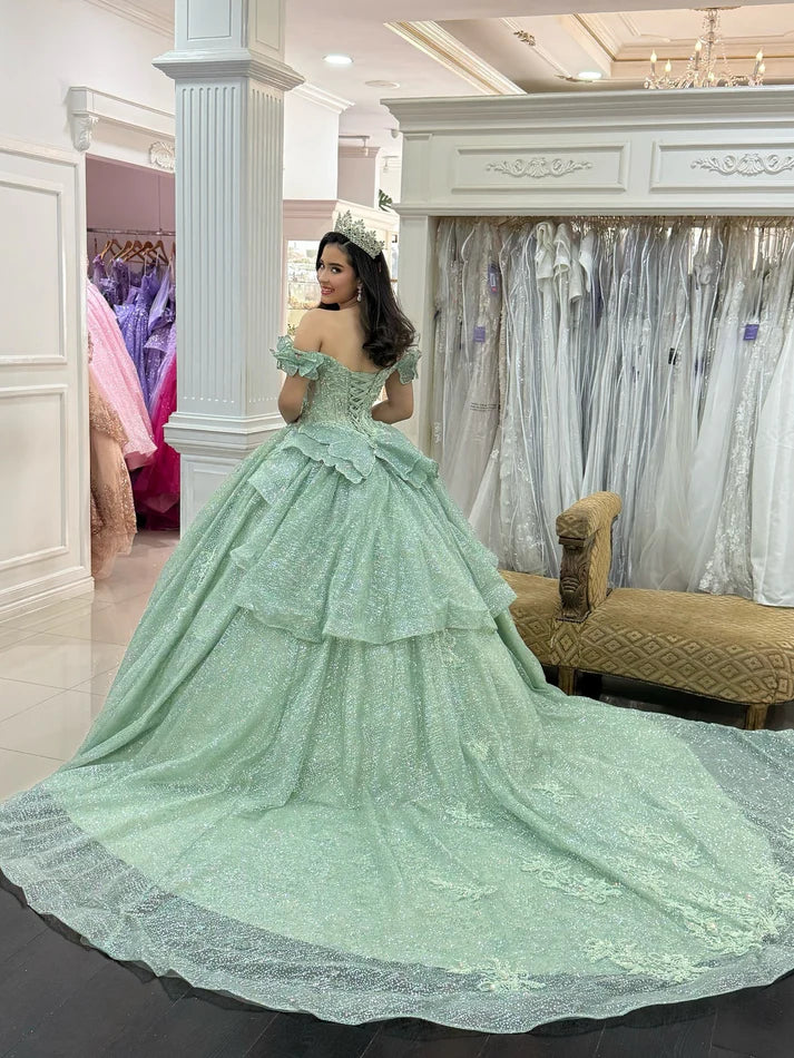 Glamorous Mint Green Appliqued Off-Shoulder Glitter Tulle Quinceanera Sweet 15 Ball Gown DP7196