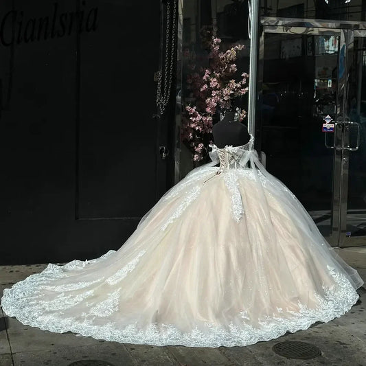 Elegant Ivory Applique Sweet 16 Quinceanera Tulle A-Line Prom Dress Birthday Dress Evening Dress Ball Gown DP6516
