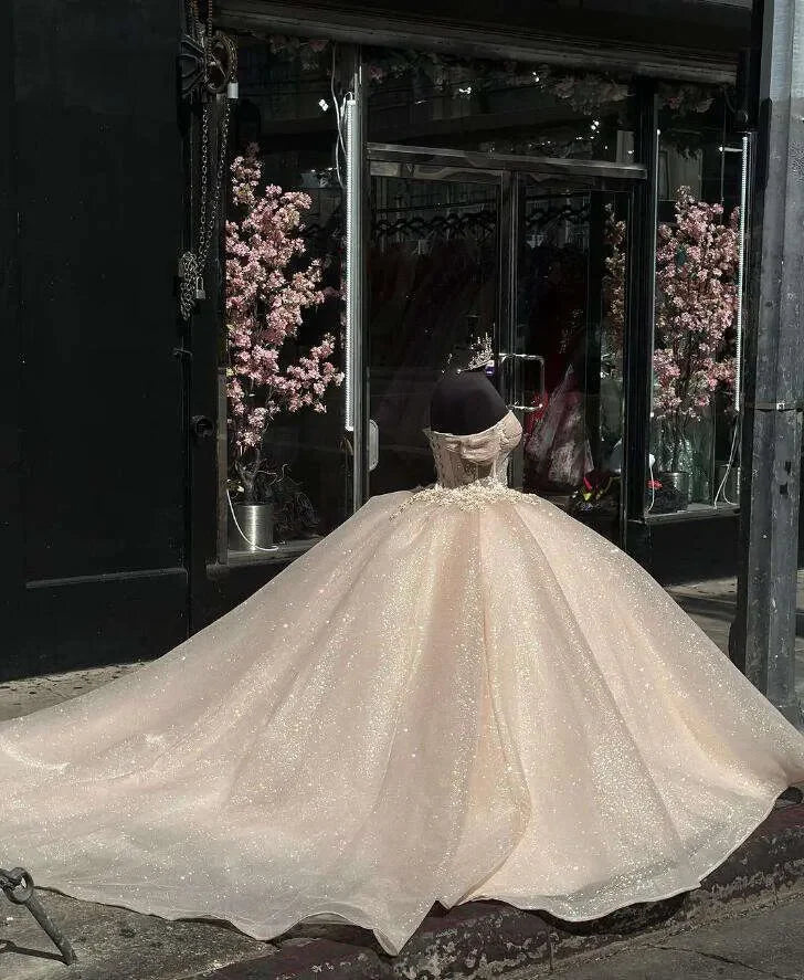 Elegantes, glänzendes Champagner-Off-Shoulder-Tüll-A-Linie-Ballkleid für Sweet 16 Quinceanera-Abendkleider Geburtstagskleid Abendkleid Ballkleid DP6517