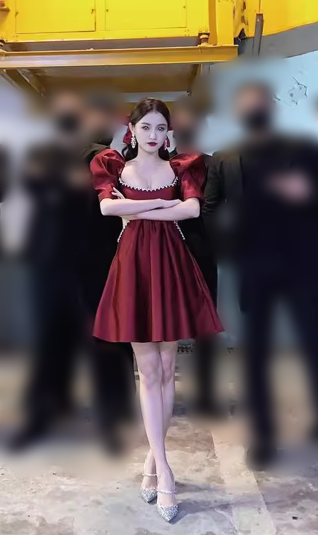 Vintage Burgundy A-Line Homecoming Dress Beaded Short Puff Sleeves Party Dress A-Line Cocktail Dress, DP6612