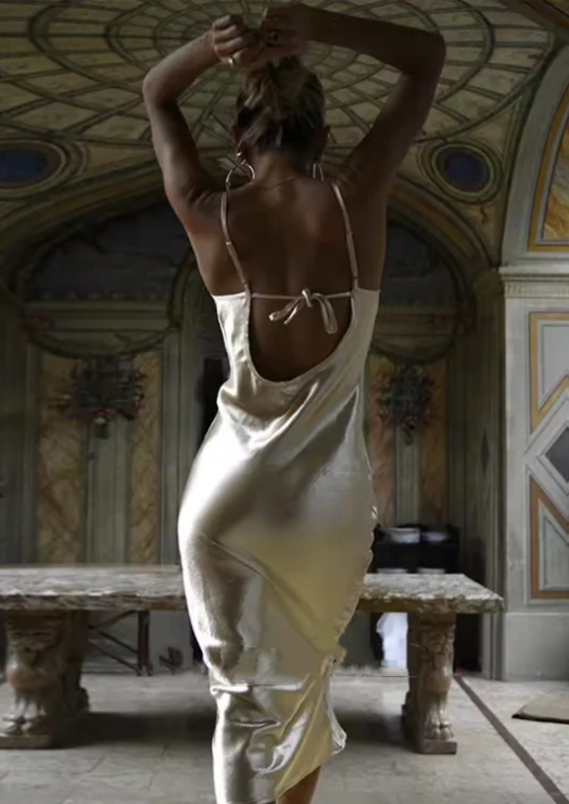 Elegant Champagne Satin Prom Dress Spaghetti Strap Evening Gown Sheath Backless Party Dress Long Formal Dress DP6770