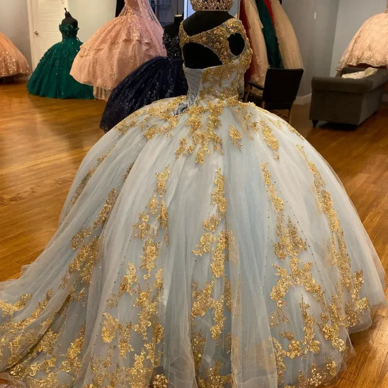 Wunderschöne Pailletten-Applikation mit V-Ausschnitt, A-Linie, Ballkleid für Sweet 16 Quinceanera, Geburtstagskleid, Abendkleid, Ballkleid DP6526