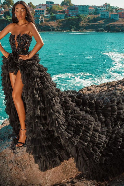 Gorgeous Black Strapless Prom Dress Tulle Evening Gown Party Dress Trailing Long Formal Dress DP6816