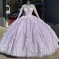 Glamorous Light Blue Beaded Long-Sleeve Quinceañera 3D Flowers Ball Gown DS4411