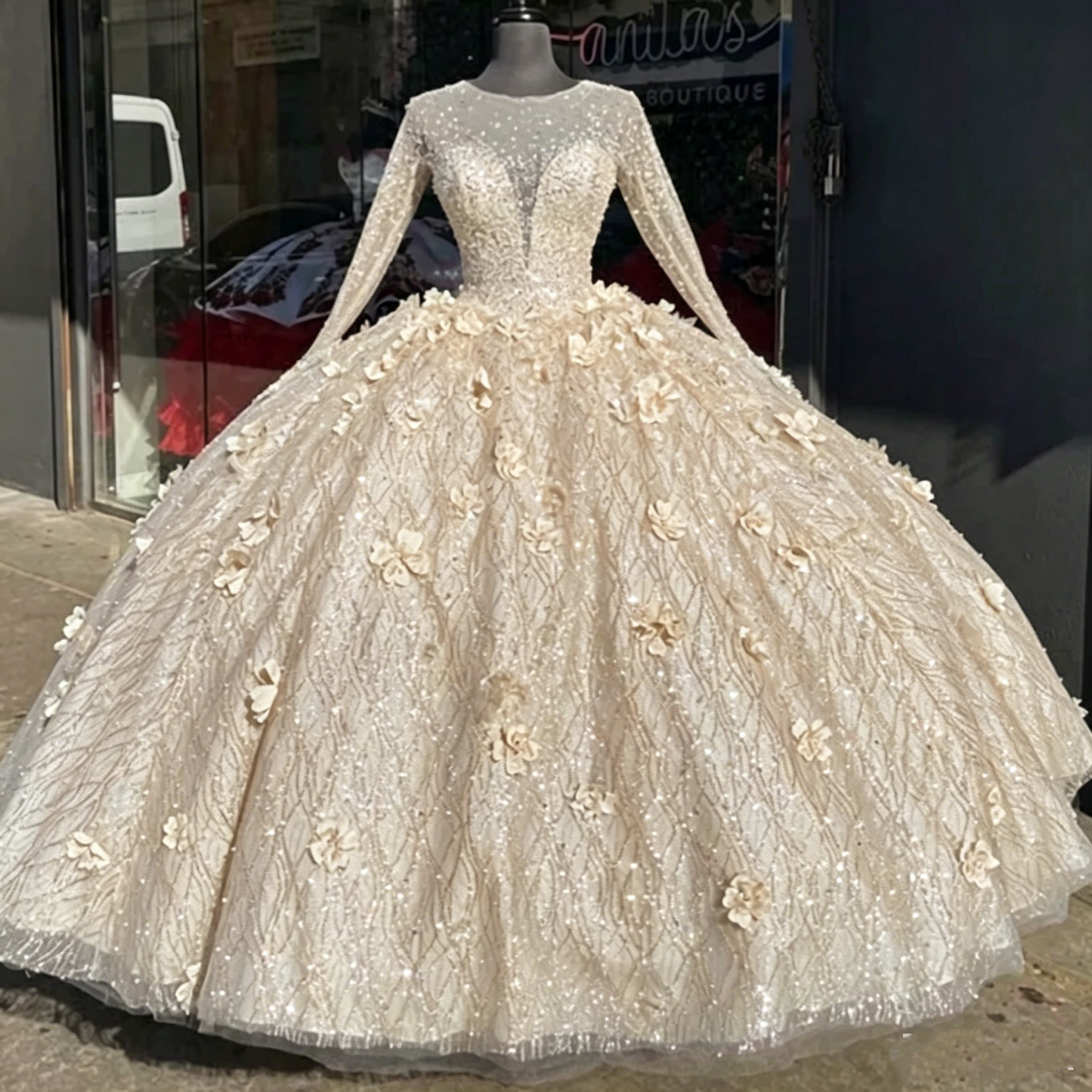 Glamorous Light Blue Beaded Long-Sleeve Quinceañera 3D Flowers Ball Gown DS4411