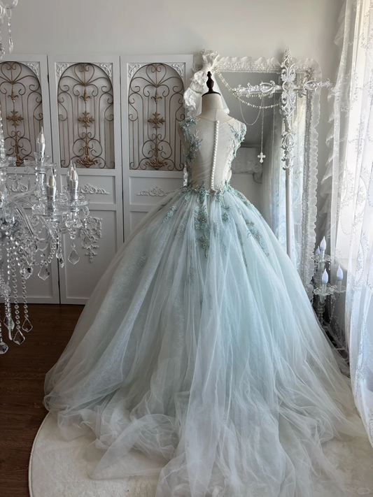 Elegant Light Blue Beaded Lace Sheer Neck Ball Gown DP8294