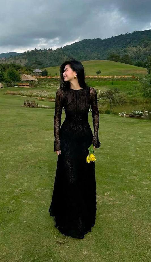 Sexy Black Long Sleeves A-Line Lace Long Party Dresses Elegant Evening Dress, DP5435