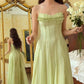 Vintage Sage Green Spaghetti Strap A-Line Evening Gown DP8272