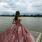 Elegantes, schulterfreies A-Linien-Ballkleid mit rosa Stickerei für Sweet 16 Quinceanera, Geburtstagskleid, Abendkleid, Ballkleid DP6525