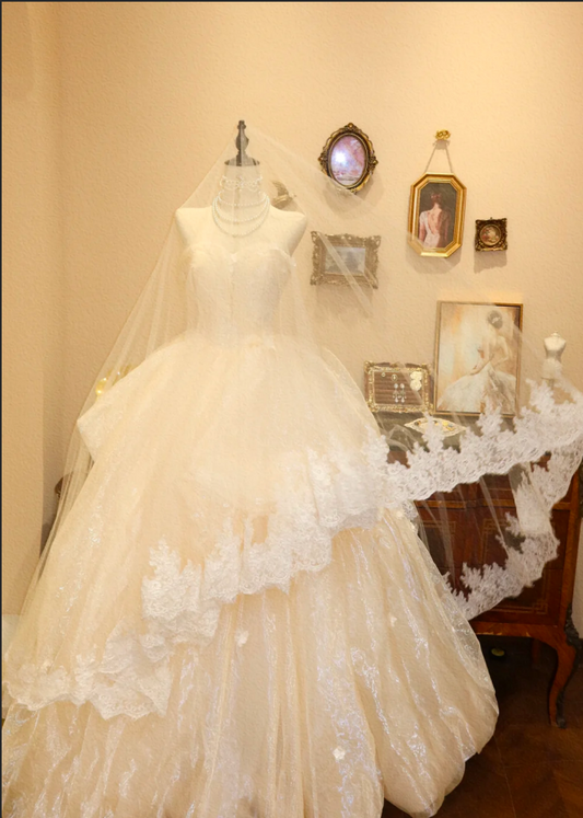 Glamorous Strapless Shimmering Textured Tulle Wedding Dress A-Line Sweetheart Bridal Gown DP7155