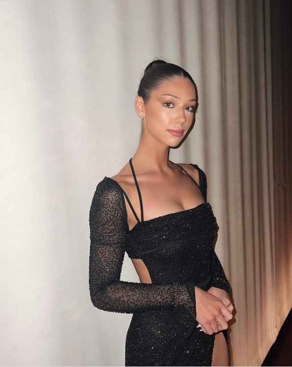 Black Long Sleeves Sheath Long Party Dress Evening Gown, DP4090