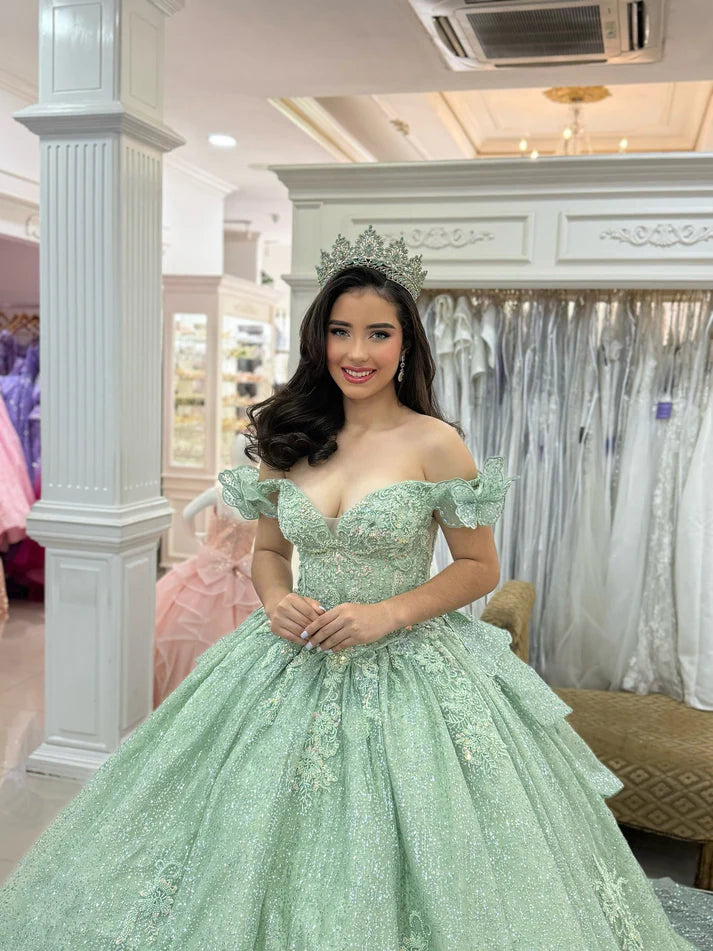 Glamorous Mint Green Appliqued Off-Shoulder Glitter Tulle Quinceanera Sweet 15 Ball Gown DP7196