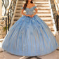 Dreamy 3D Floral Off-the-Shoulder Glitter Sweet 15 Quinceanera Ball Gown DP8175
