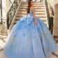 Dreamy 3D Floral Off-the-Shoulder Glitter Sweet 15 Quinceanera Ball Gown DP8175