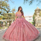 Dreamy 3D Floral Off-the-Shoulder Glitter Sweet 15 Quinceanera Ball Gown DP8175