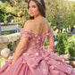 Dreamy 3D Floral Off-the-Shoulder Glitter Sweet 15 Quinceanera Ball Gown DP8175