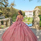Dreamy 3D Floral Off-the-Shoulder Glitter Sweet 15 Quinceanera Ball Gown DP8175
