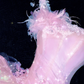 Sparkling Elegant Pink A-Line Tiered Prom Dress Evening Dress Ball Gown DP6231