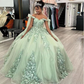 Sage Green Sweet 16 Quinceanera Dress Ball Gown Birthday Party Dress, DP3632