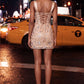 Elegant Sequin Floral Butterfly Embroidered Straps Ruched Bodycon Mini Homecoming Dress DP8667