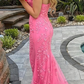 Charming Mermaid Lace Appliques Tulle Prom Evening Dresses,DP0161