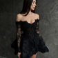 Sexy Black Off Shoulder Long Sleeves Mesh Mini Party Dress,DP1720