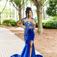 Royal Blue Velvet Appliques Beading Mermaid Long Prom Dress, DP2105