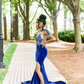 Royal Blue Velvet Appliques Beading Mermaid Long Prom Dress, DP2105