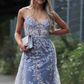 Stunning Dsuty Blue Tulle Long Formal Dress with Appliques,DP386