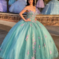 Princess Floral Off Shoulder Tulle Ball Gowns Quinceanera Dress,DP726