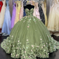 Green Elegant Floral Sweetheart Tulle Ball Gowns Quinceanera Dress with Appliques,DP727