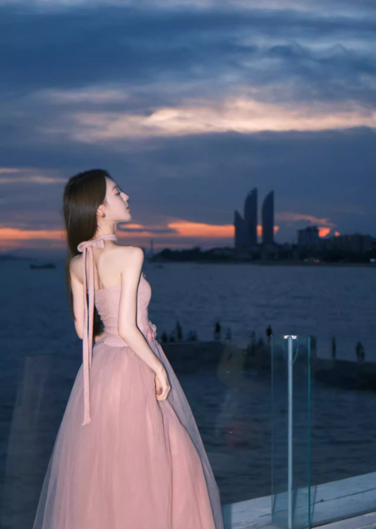 Elegant Pink A-Line Prom Dress Tulle Strapless Evening Gown Party Dress Long Formal Dress DP6795