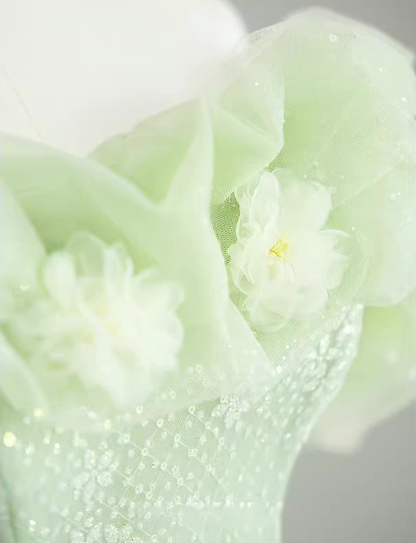 Vintage Light Green Sequin Tulle Off-Shoulder 3D Flower Bow Belt Sweet 16 Quinceanera Ball Gown DP7718