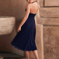 Elegant Simple Pink Halter Neck A-Line Chiffon Evening Dress DP8092