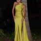 Glamorous Burgundy Satin Draped Cape Sheath Evening Dress Prom Dress DP8114