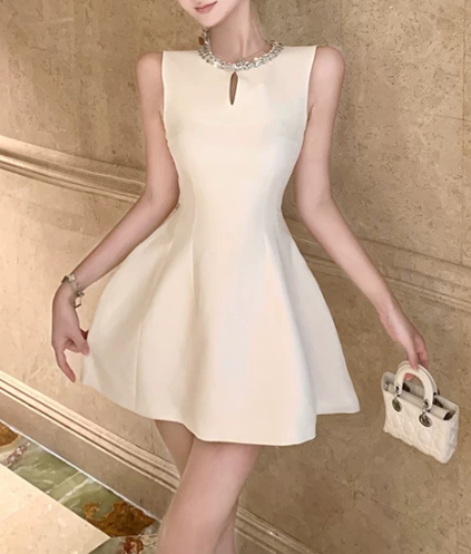 Elegant Champagne Sleeveless Beadede A-Line Homecoming Dress DP8746