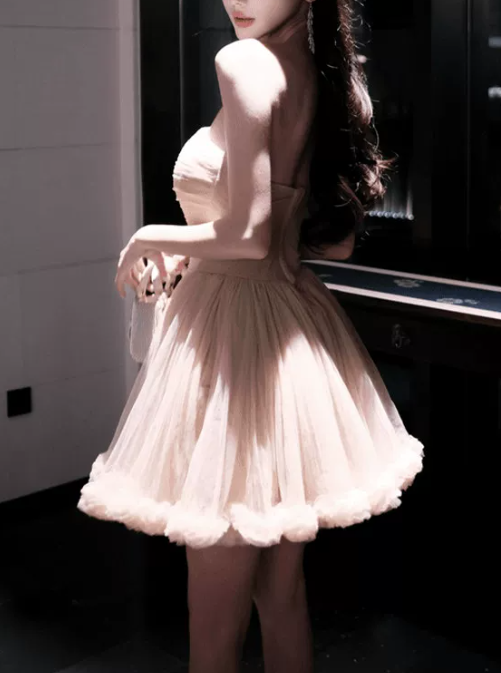 Elegant Champagne Strapless Tulle A-Line Homecoming Dress DP8749