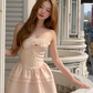 Elegant Pink Lace Trim Corset Spaghetti Strap A‑Line Homecoming Dress DP8846