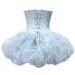 Gorgeous Pale Blue Strapless Corset 3D Floral Tulle Puffy A Line Short Homecoming Dress XS012