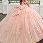 Elegant Off-the-Shoulder 3D Floral Applique Glitter Tulle Sweet 15 Quinceanera Ball Gown DP8174