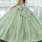 Elegant Off-the-Shoulder 3D Floral Applique Glitter Tulle Sweet 15 Quinceanera Ball Gown DP8174