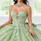 Elegant Off-the-Shoulder 3D Floral Applique Glitter Tulle Sweet 15 Quinceanera Ball Gown DP8174