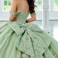 Elegant Off-the-Shoulder 3D Floral Applique Glitter Tulle Sweet 15 Quinceanera Ball Gown DP8174