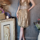 Retro Golden V-neck Sparkling Beaded Sequin Design A-line Short Homecoming Dress DP6058