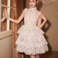 Vintage Beige A-Linie Spitze Kurzes Stufen-Partykleid Homecoming-Kleider, DP5970