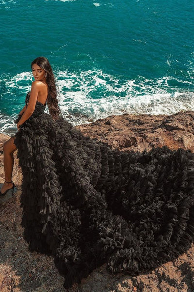 Gorgeous Black Strapless Prom Dress Tulle Evening Gown Party Dress Trailing Long Formal Dress DP6816