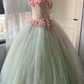 Chic Mint Green Tulle Pink 3D Floral Lace Bodice Sleeveless Sweet 16 Quinceanera Ball Gown DP7364