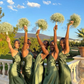 Elegant Green Halter Backless Sheath Long Party Dresses Bridesmaid Dresses, DP5480